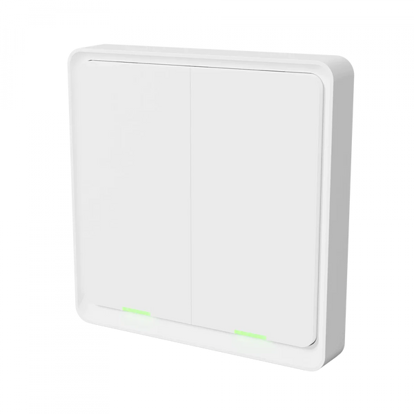 TESLA Smart Switch Dual Battery